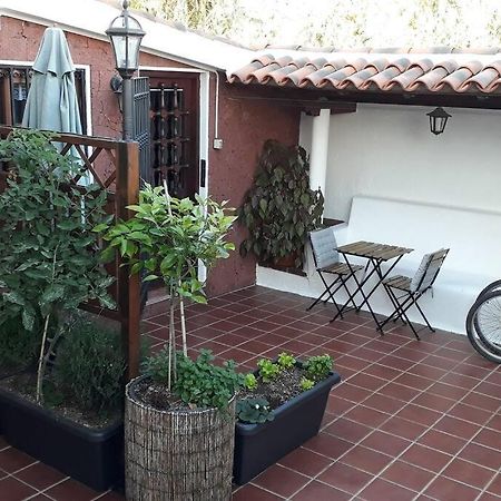 Apartamento Tranquilo En Una Casa Con Jardin La Laguna  Extérieur photo