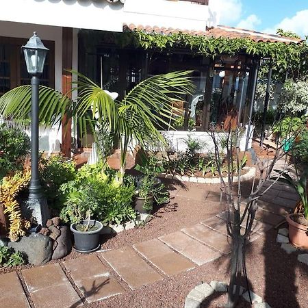 Apartamento Tranquilo En Una Casa Con Jardin La Laguna  Extérieur photo
