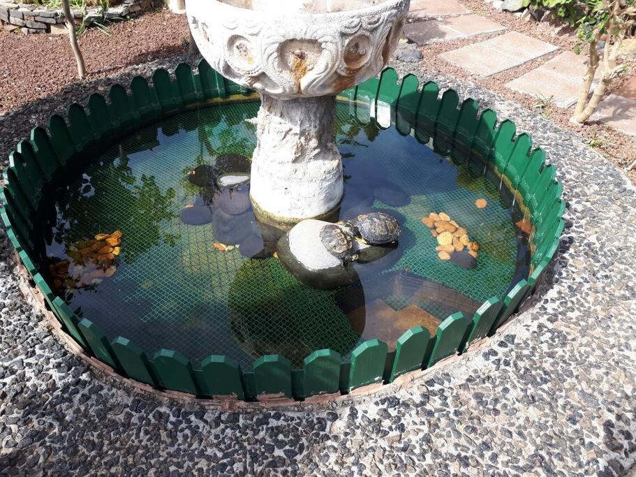 Apartamento Tranquilo En Una Casa Con Jardin La Laguna  Extérieur photo