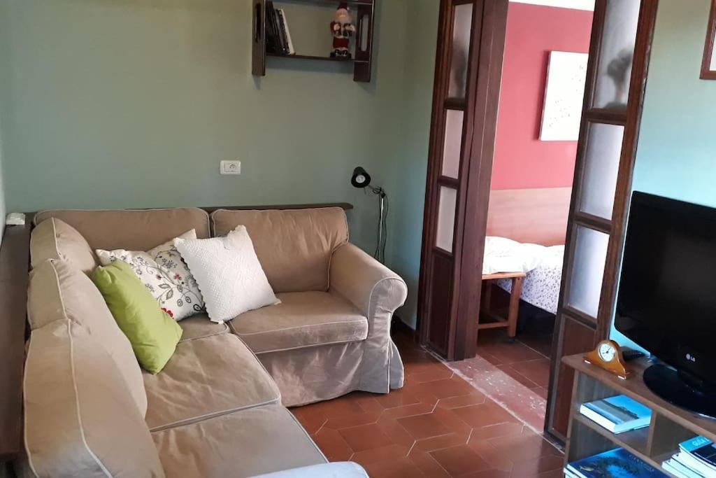 Apartamento Tranquilo En Una Casa Con Jardin La Laguna  Extérieur photo