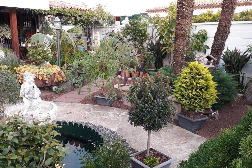 Apartamento Tranquilo En Una Casa Con Jardin La Laguna  Extérieur photo