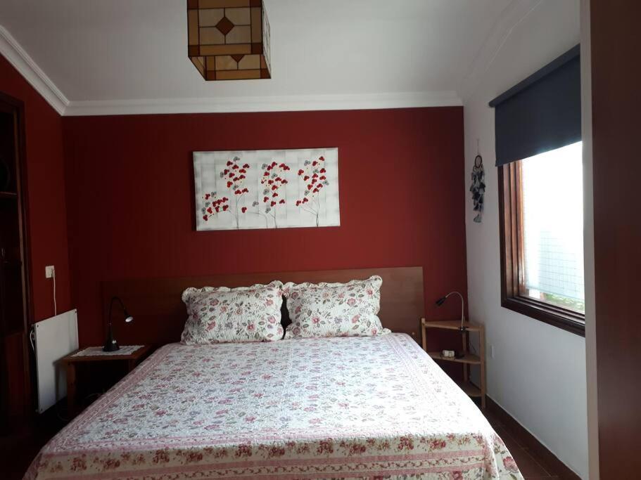 Apartamento Tranquilo En Una Casa Con Jardin La Laguna  Extérieur photo