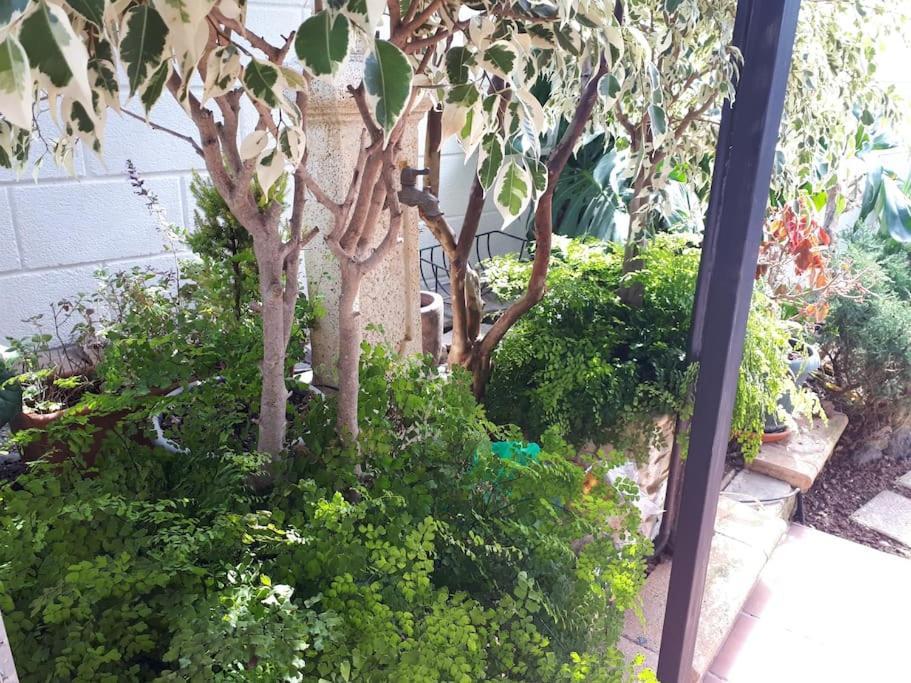 Apartamento Tranquilo En Una Casa Con Jardin La Laguna  Extérieur photo