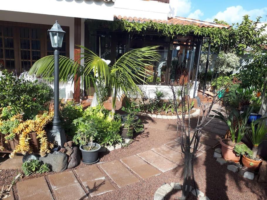 Apartamento Tranquilo En Una Casa Con Jardin La Laguna  Extérieur photo